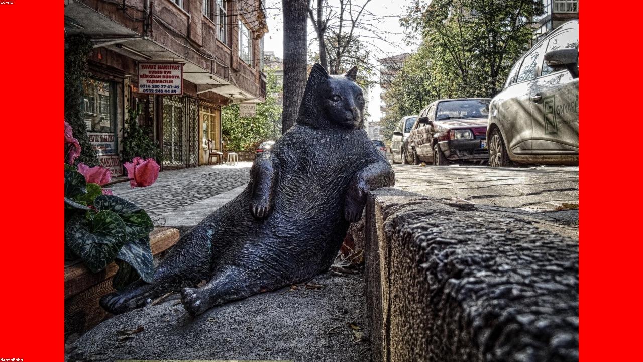 فروشگاه درون ساخت